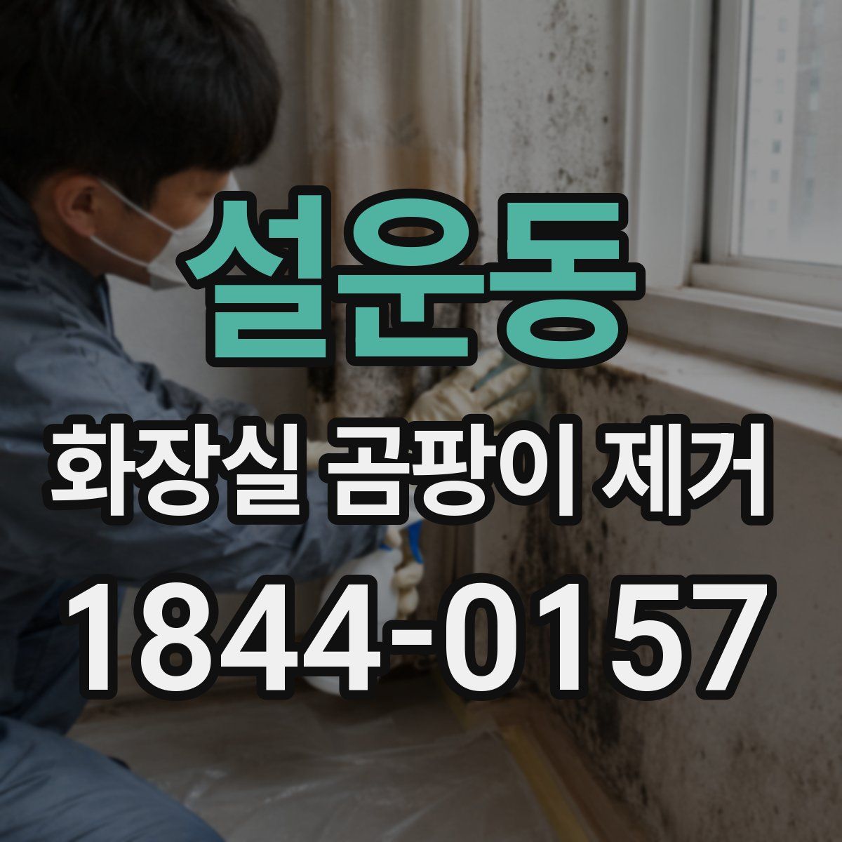 설운동 화장실 곰팡이 제거