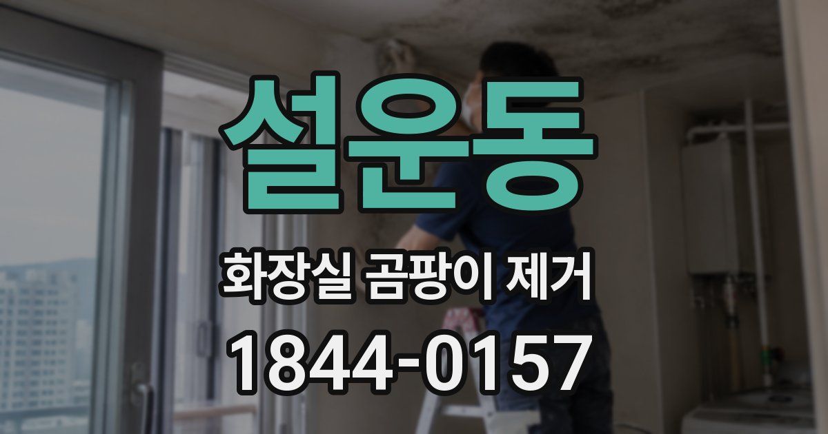 설운동 화장실 곰팡이 제거