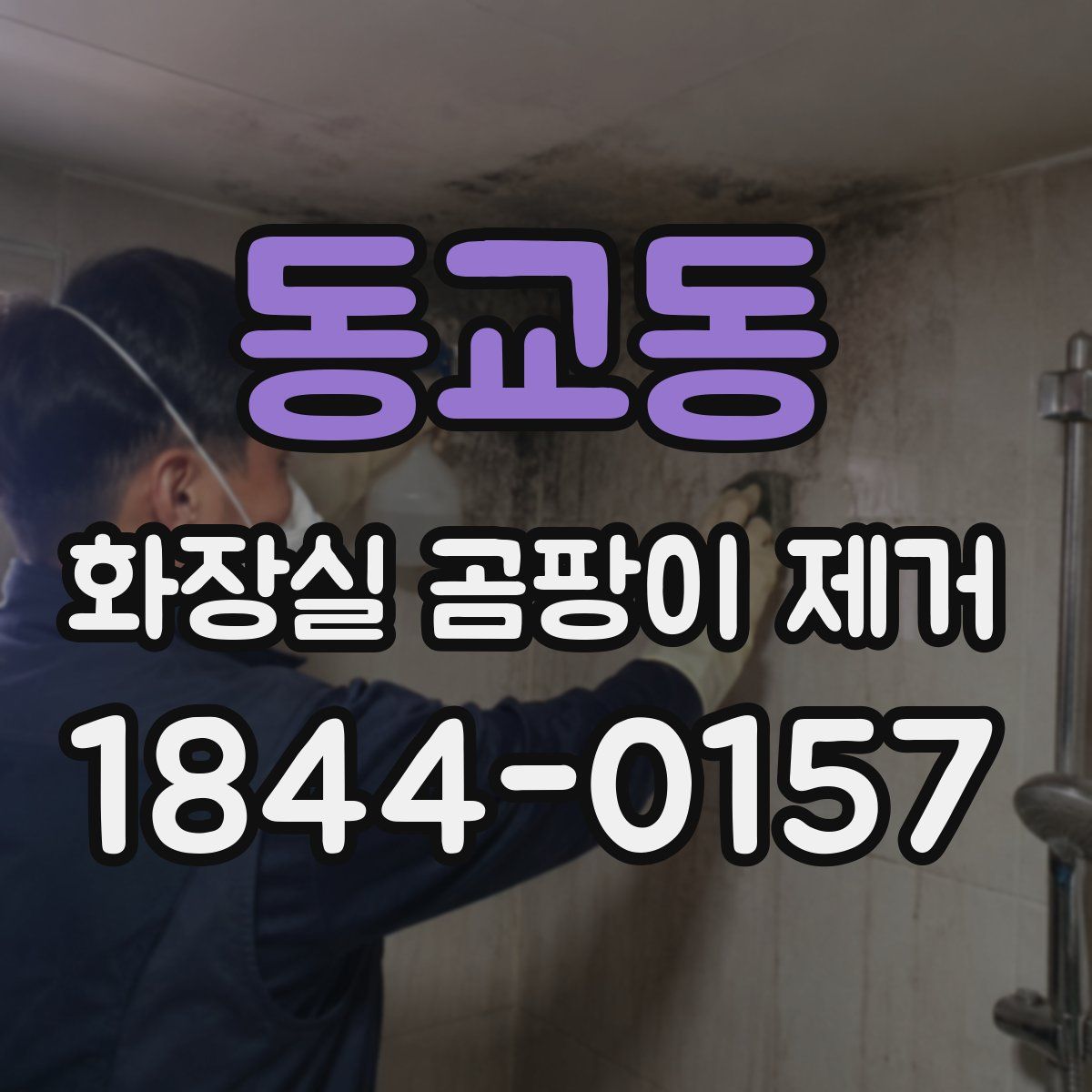 동교동 화장실 곰팡이 제거