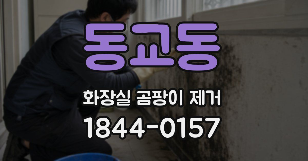 동교동 화장실 곰팡이 제거