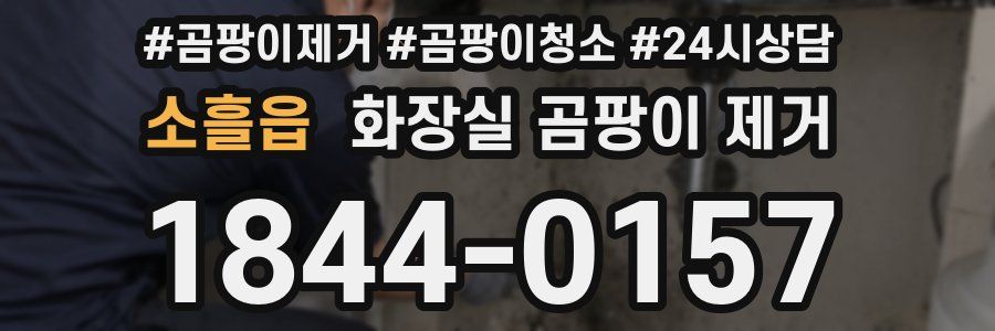 소흘읍 화장실 곰팡이 제거