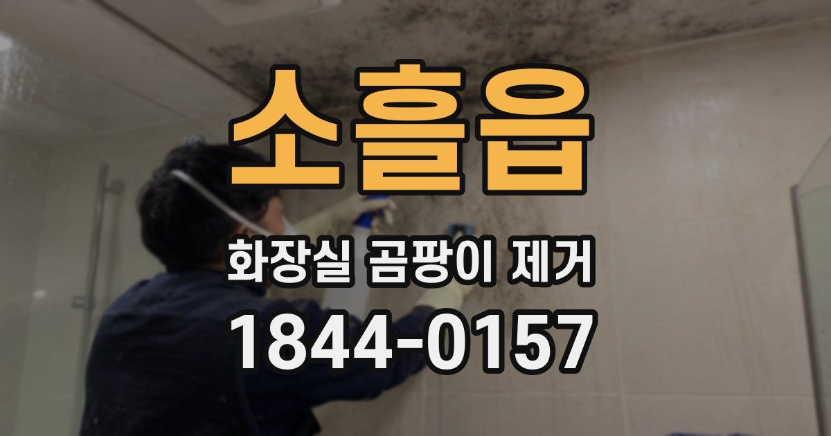 소흘읍 화장실 곰팡이 제거