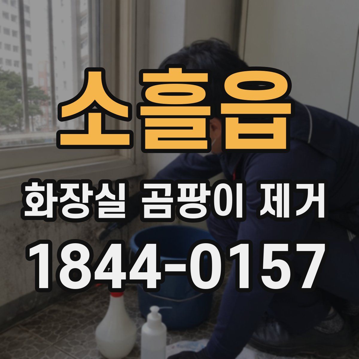 소흘읍 화장실 곰팡이 제거