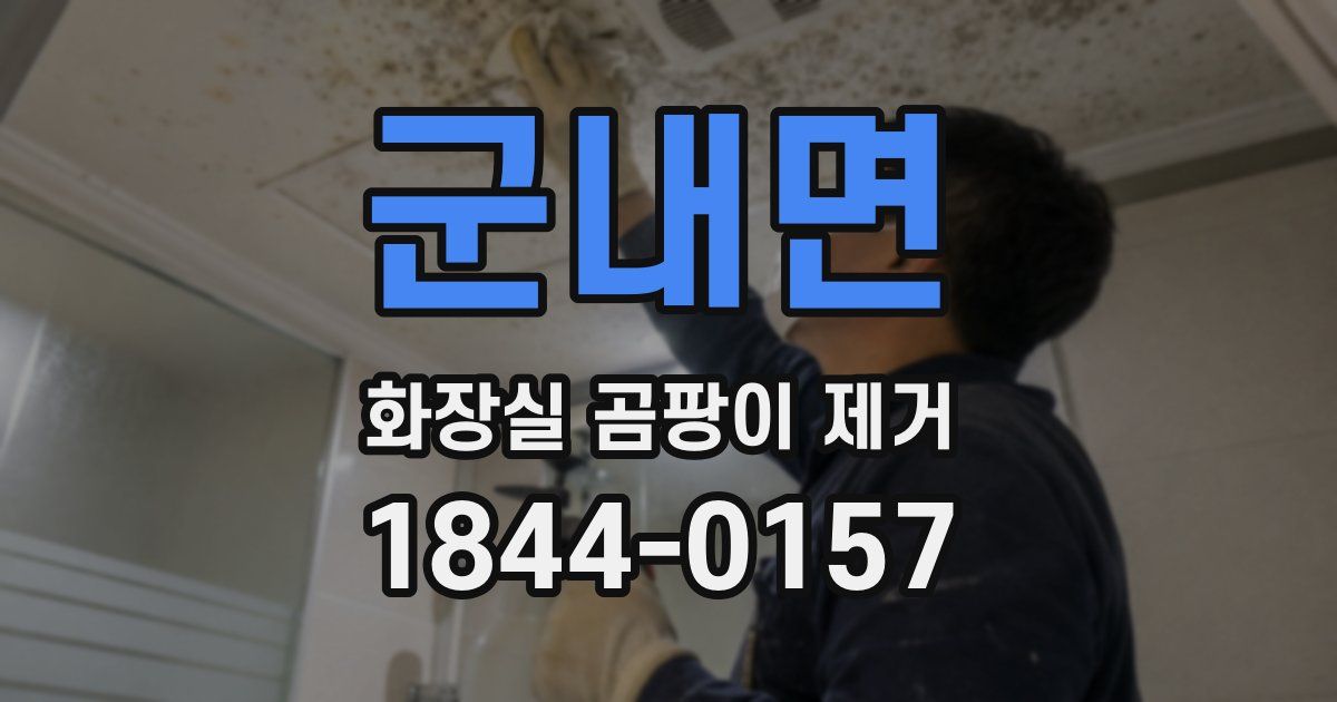 군내면 화장실 곰팡이 제거