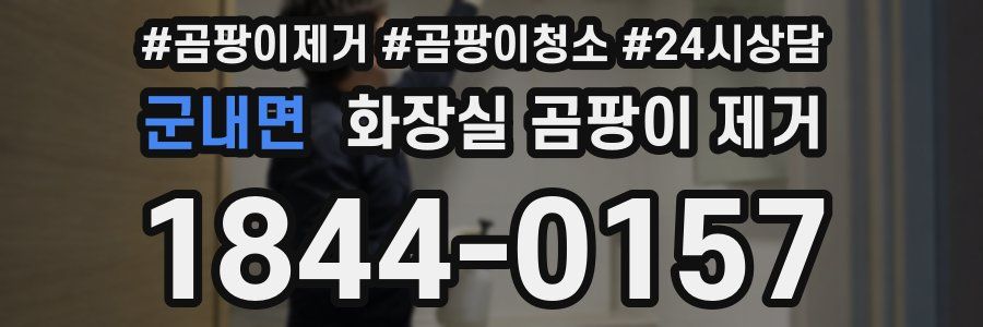 군내면 화장실 곰팡이 제거