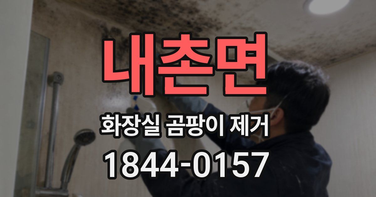 내촌면 화장실 곰팡이 제거