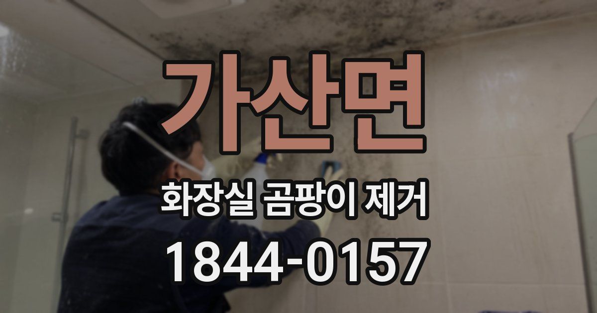 가산면 화장실 곰팡이 제거