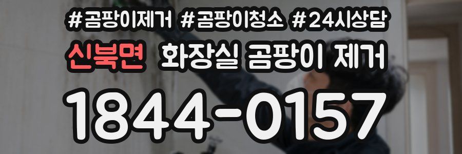 신북면 화장실 곰팡이 제거