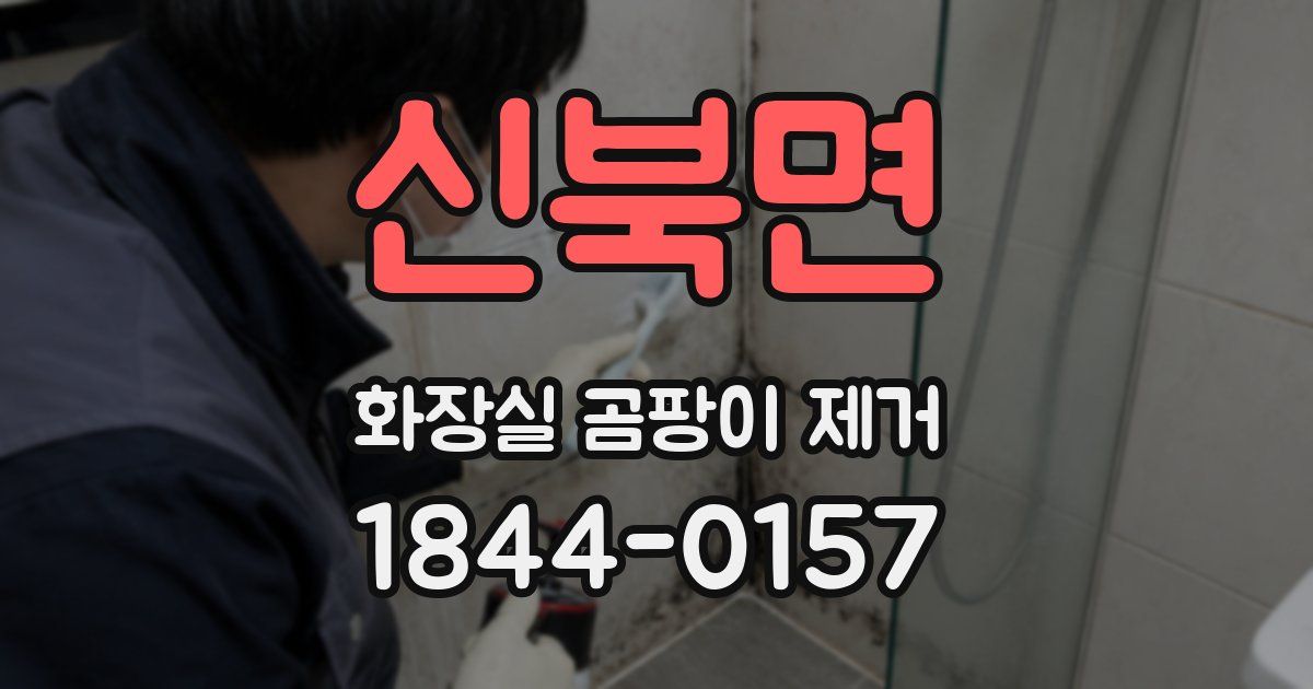 신북면 화장실 곰팡이 제거