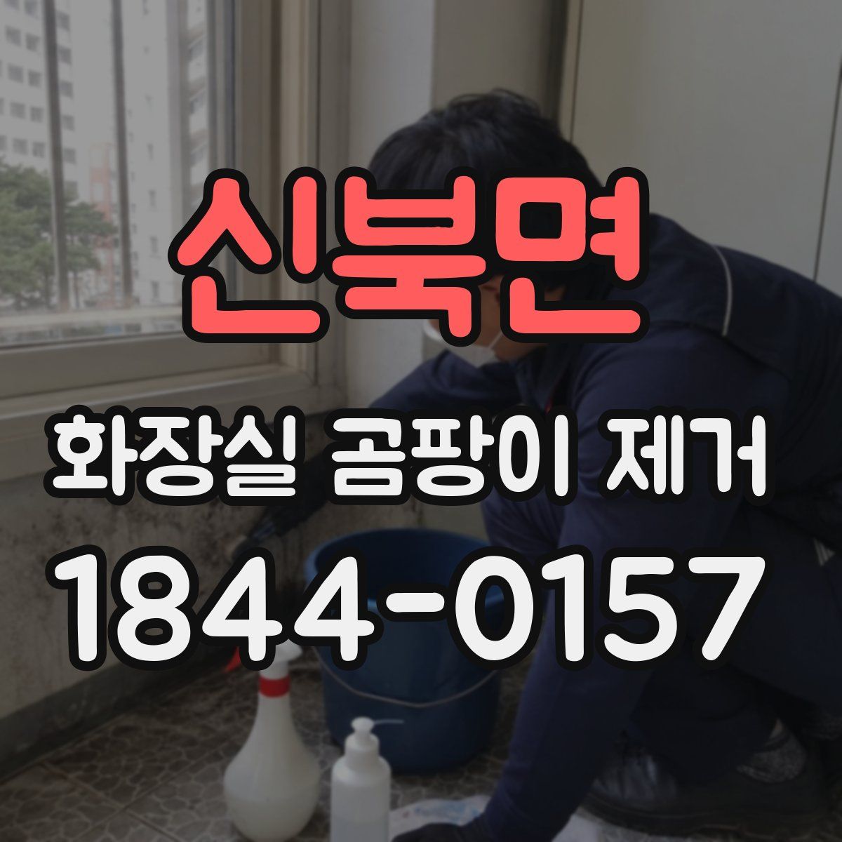 신북면 화장실 곰팡이 제거