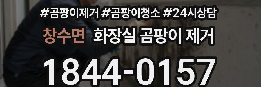 창수면 화장실 곰팡이 제거