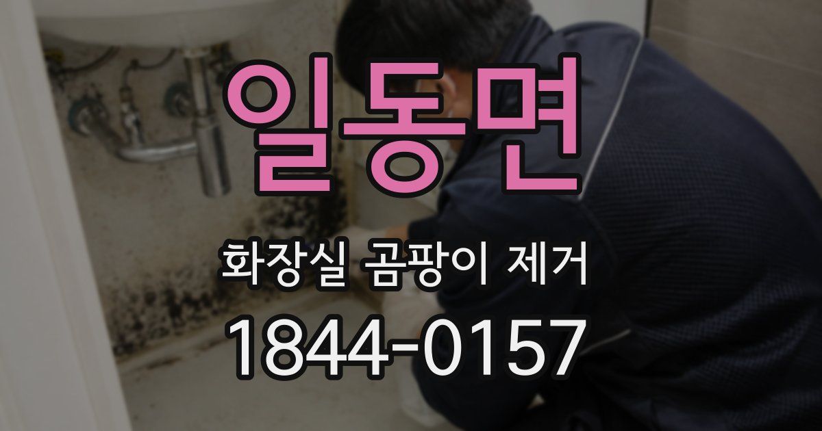 일동면 화장실 곰팡이 제거