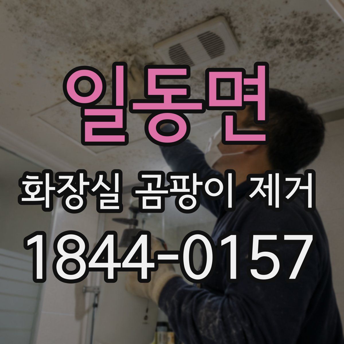 일동면 화장실 곰팡이 제거