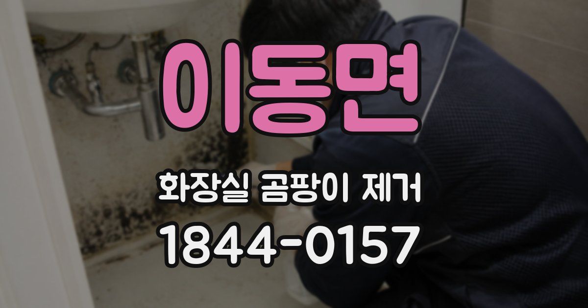 이동면 화장실 곰팡이 제거