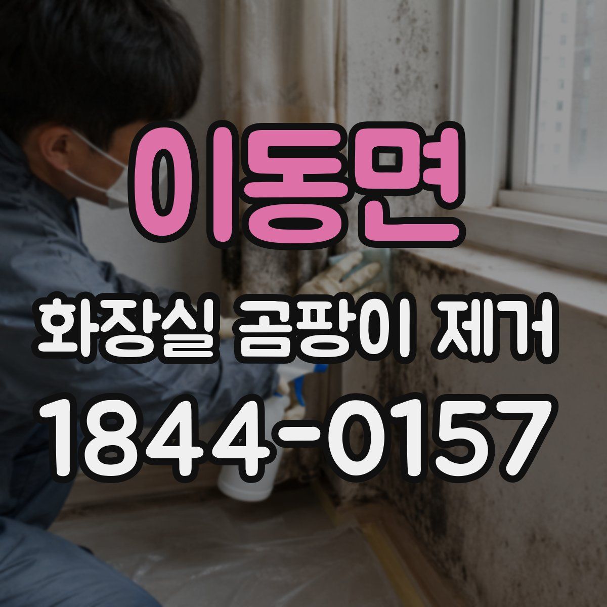 이동면 화장실 곰팡이 제거