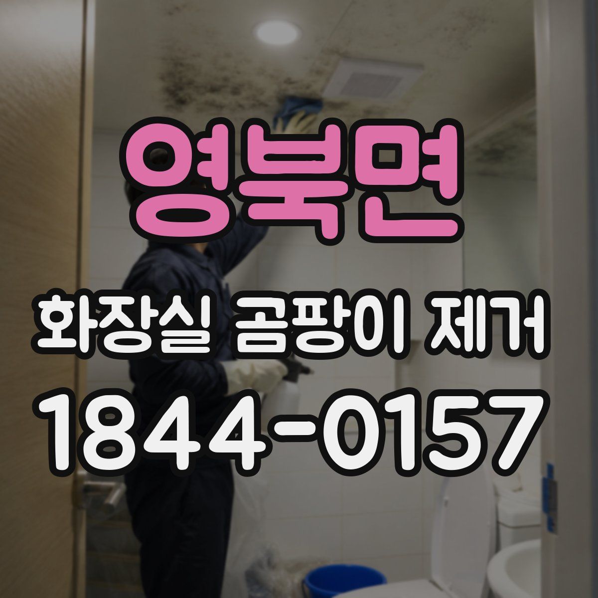 영북면 화장실 곰팡이 제거