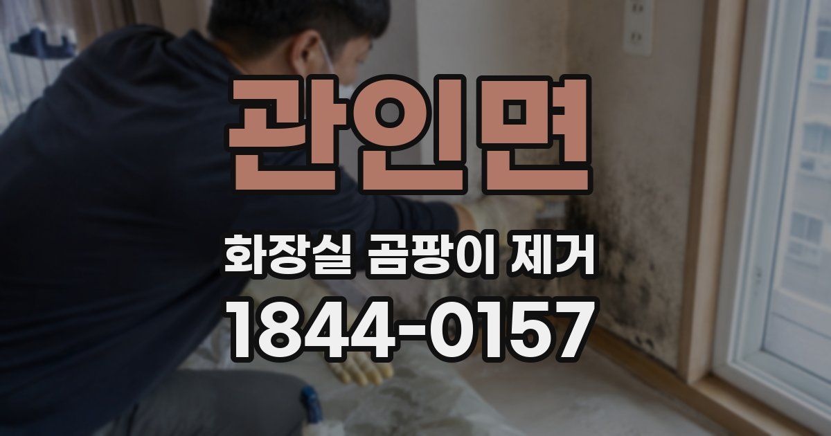 관인면 화장실 곰팡이 제거