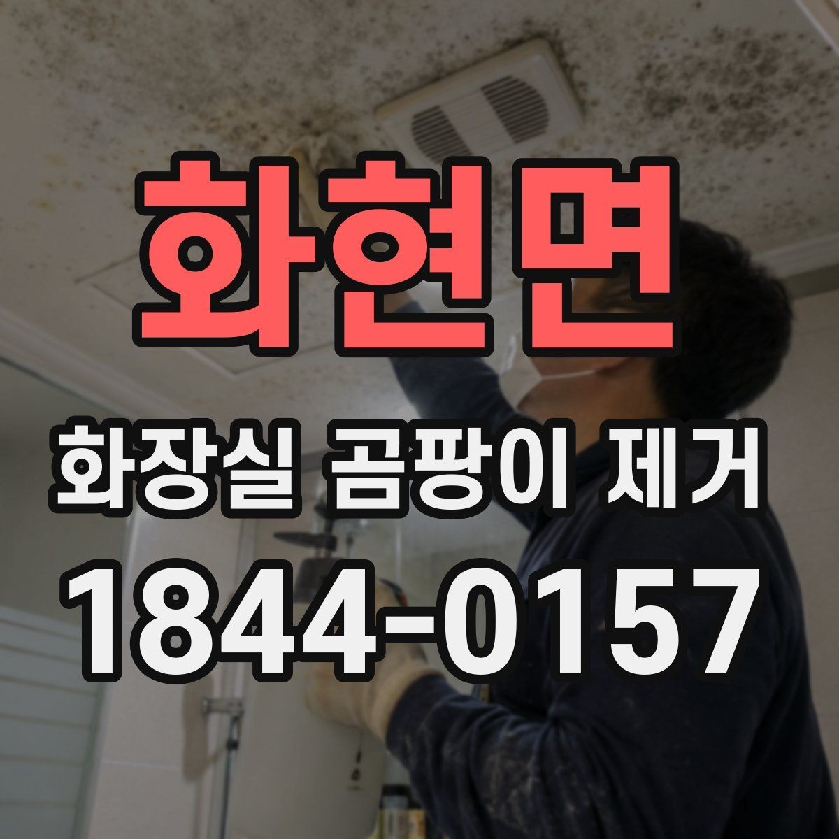 화현면 화장실 곰팡이 제거 천장과 벽면을 함께 점검해야 하는 이유