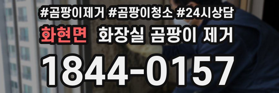 화현면 화장실 곰팡이 제거