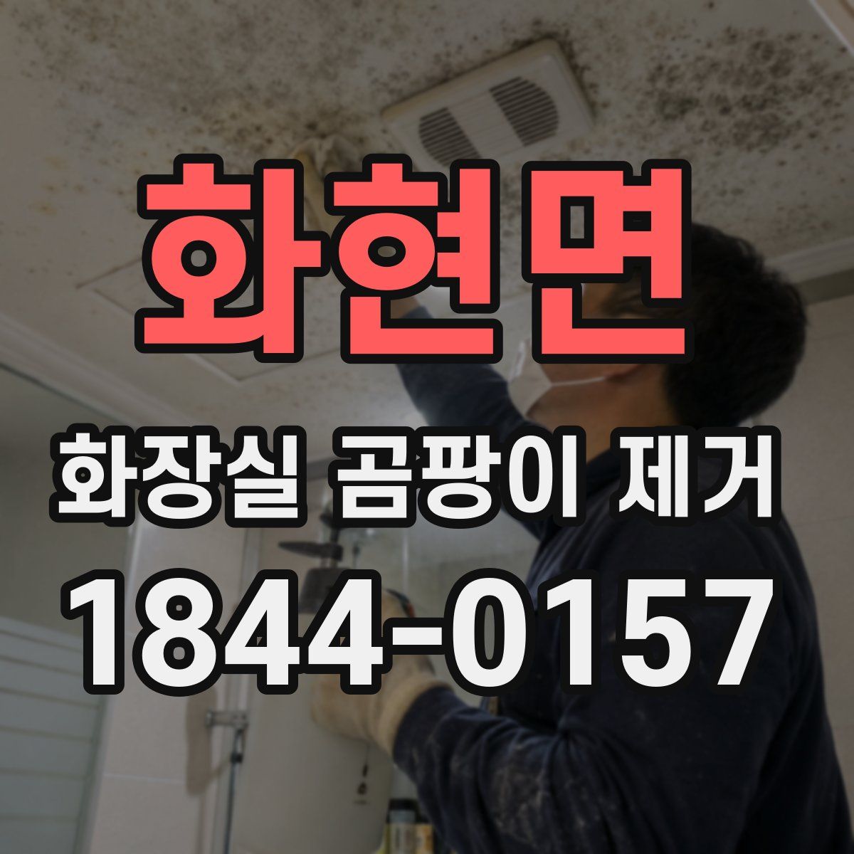 화현면 화장실 곰팡이 제거