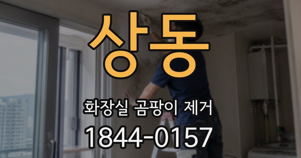 상동 화장실 곰팡이 제거