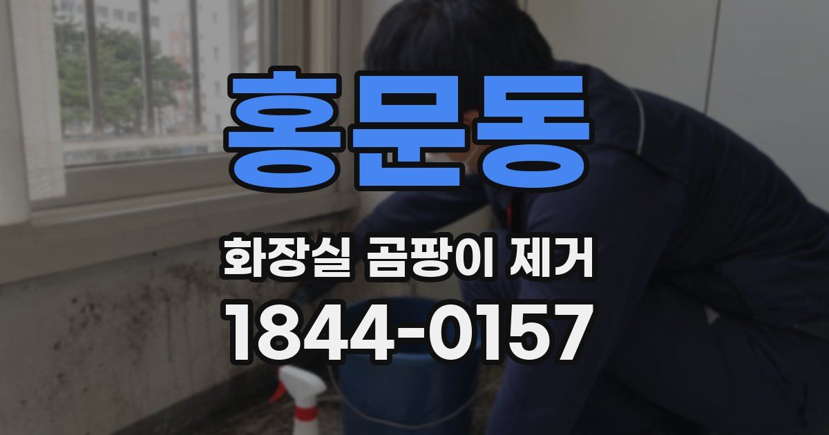 홍문동 화장실 곰팡이 제거