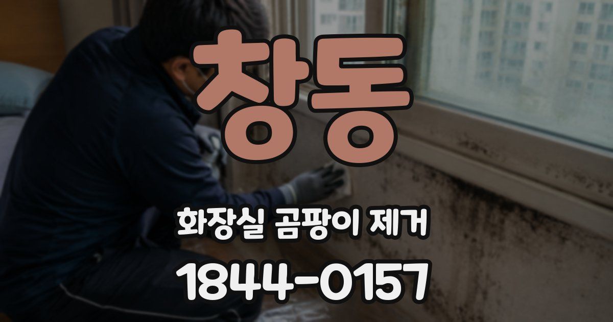 창동 화장실 곰팡이 제거