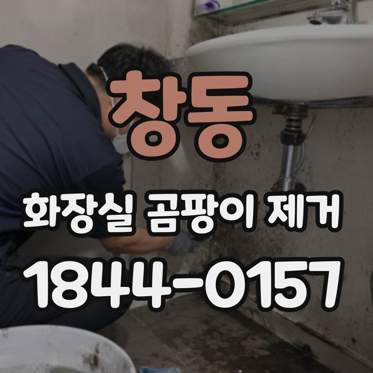창동 화장실 곰팡이 제거