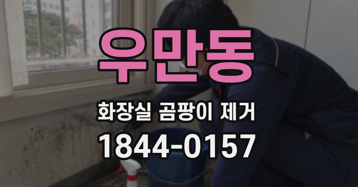 우만동 화장실 곰팡이 제거