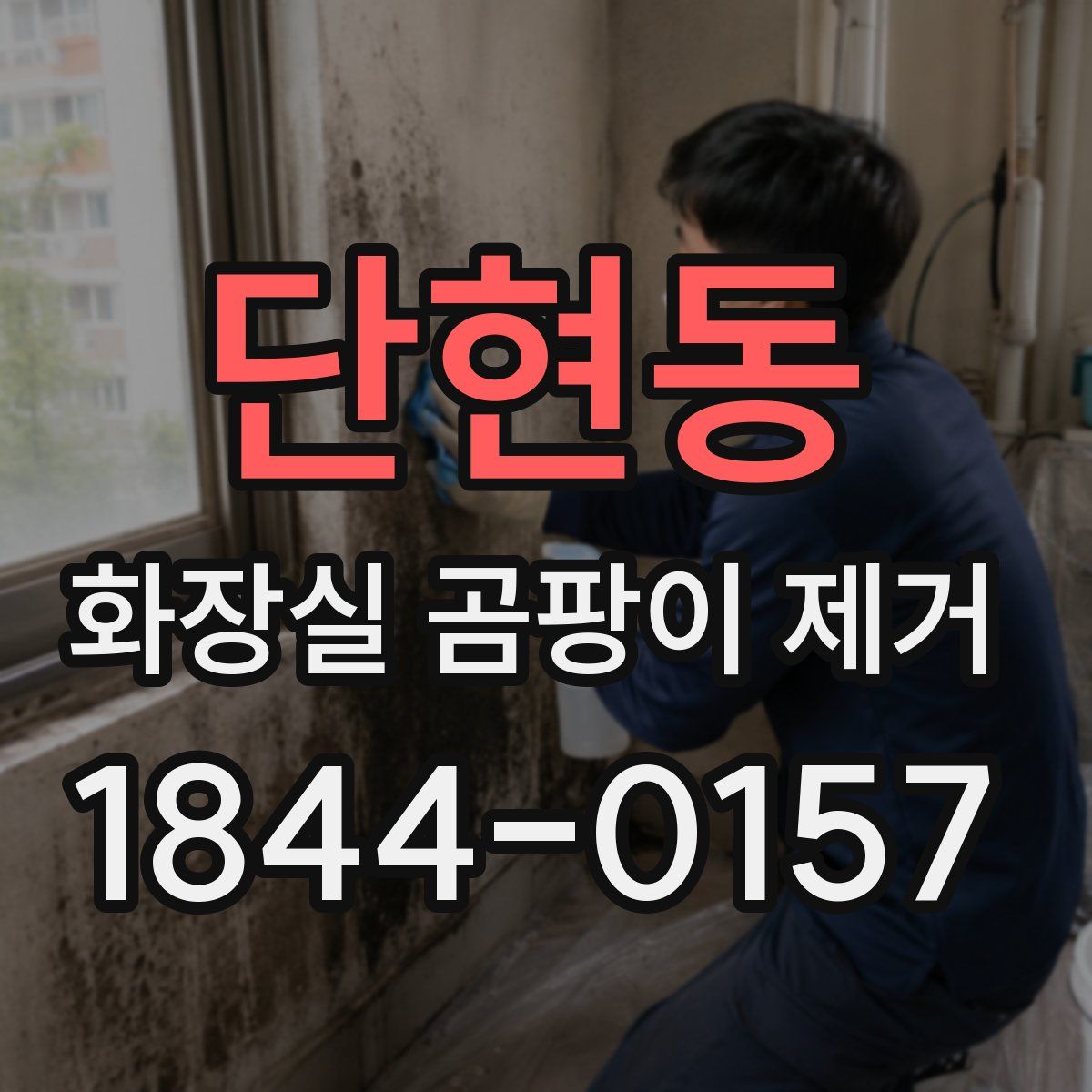 단현동 화장실 곰팡이 제거