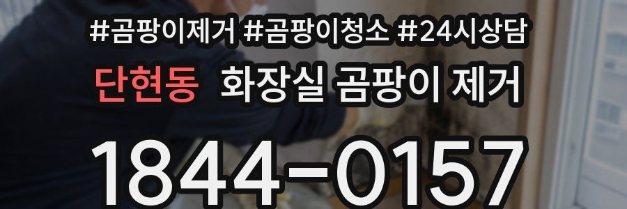 단현동 화장실 곰팡이 제거