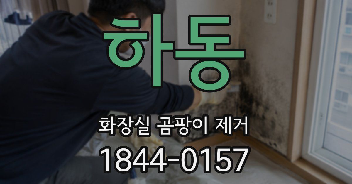하동 화장실 곰팡이 제거