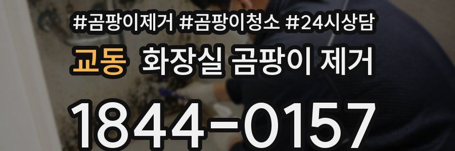 교동 화장실 곰팡이 제거