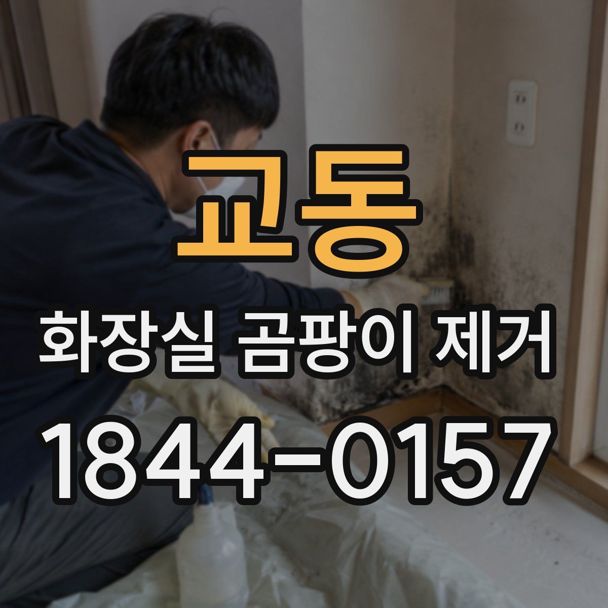 교동 화장실 곰팡이 제거
