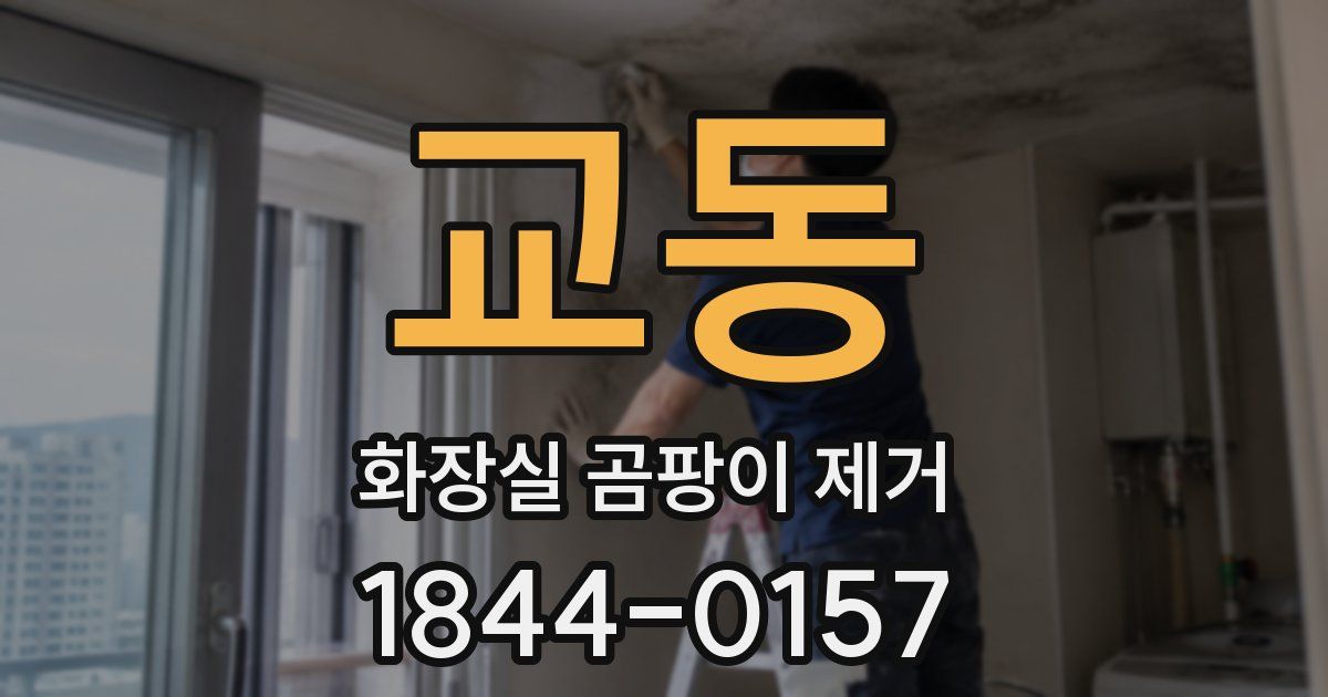 교동 화장실 곰팡이 제거