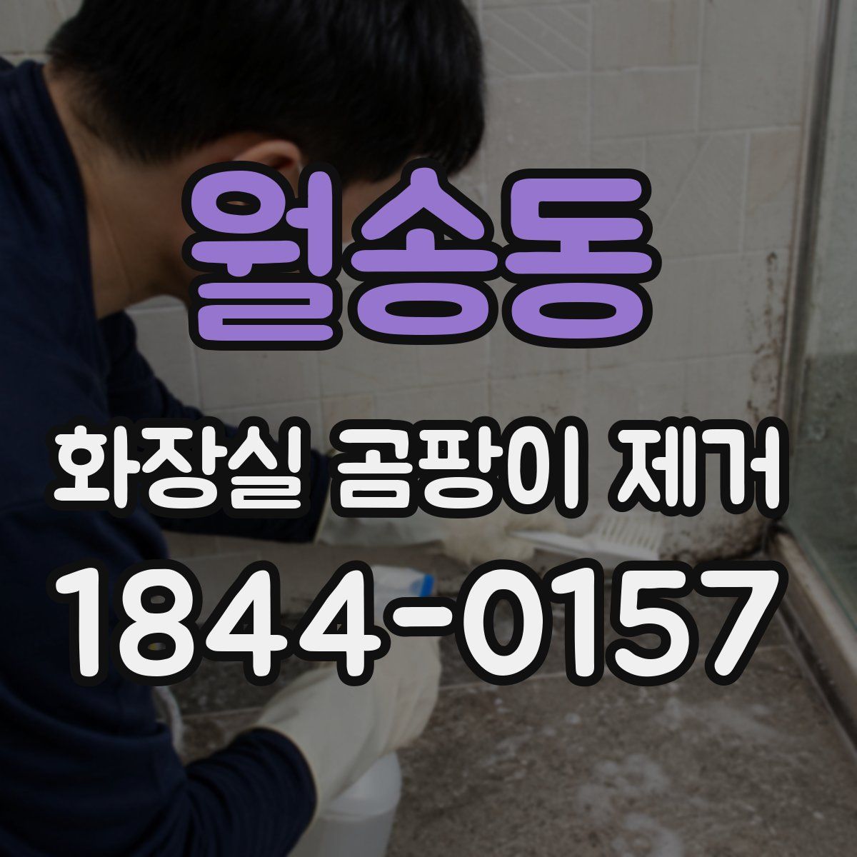 월송동 화장실 곰팡이 제거