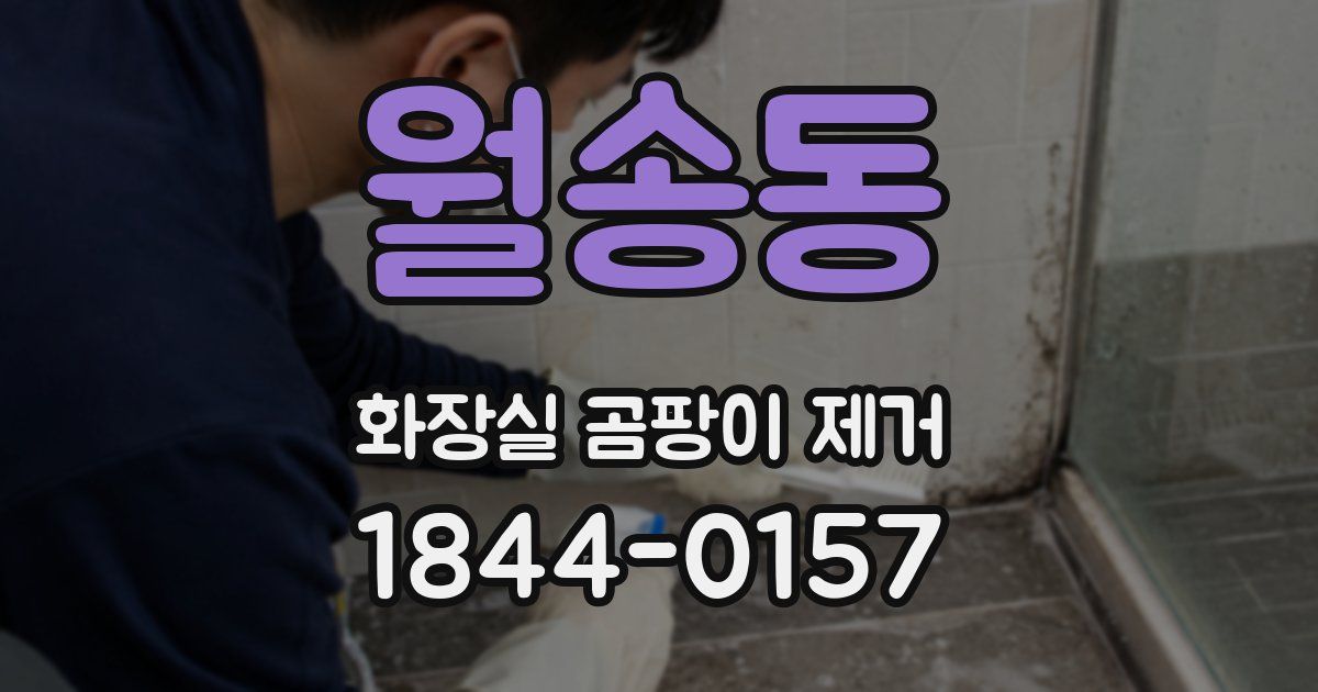 월송동 화장실 곰팡이 제거