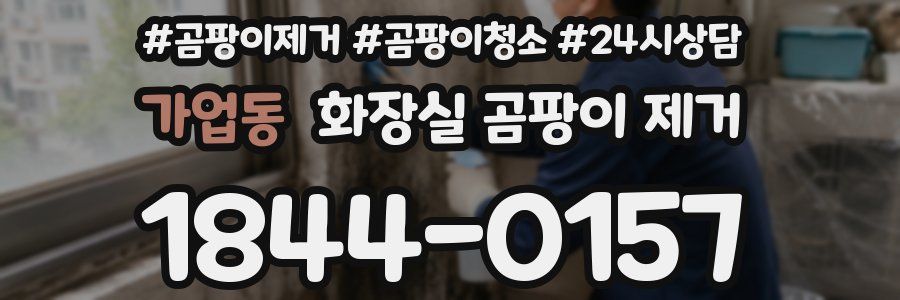 가업동 화장실 곰팡이 제거