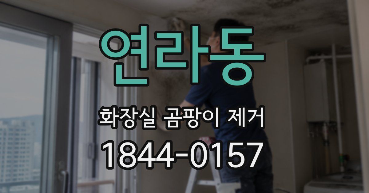 연라동 화장실 곰팡이 제거
