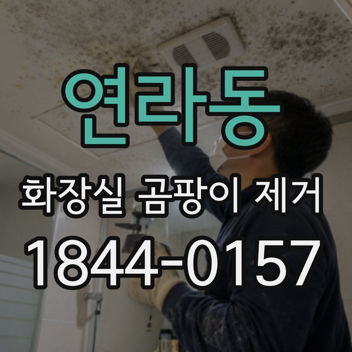 연라동 화장실 곰팡이 제거