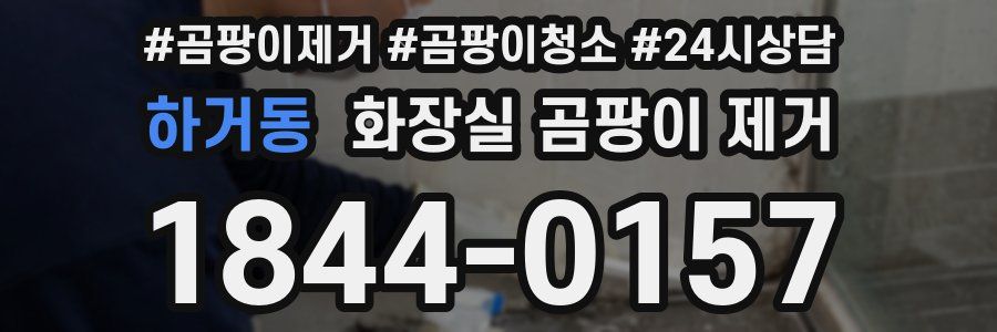 하거동 화장실 곰팡이 제거