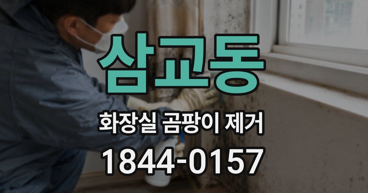 삼교동 화장실 곰팡이 제거
