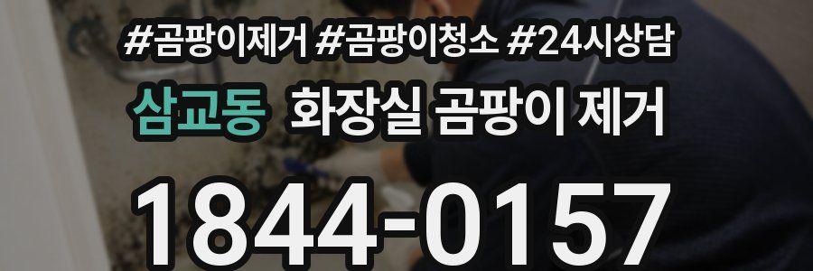 삼교동 화장실 곰팡이 제거