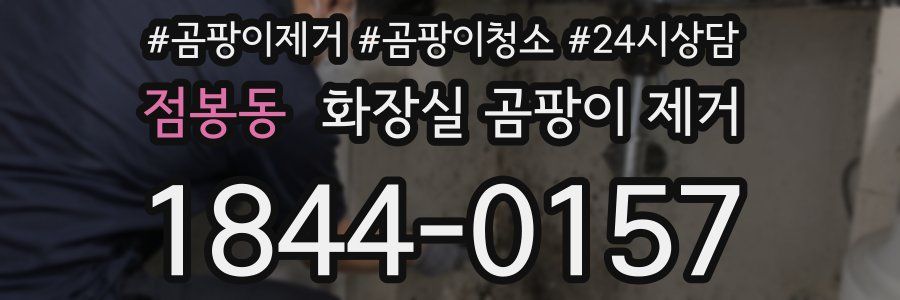 점봉동 화장실 곰팡이 제거