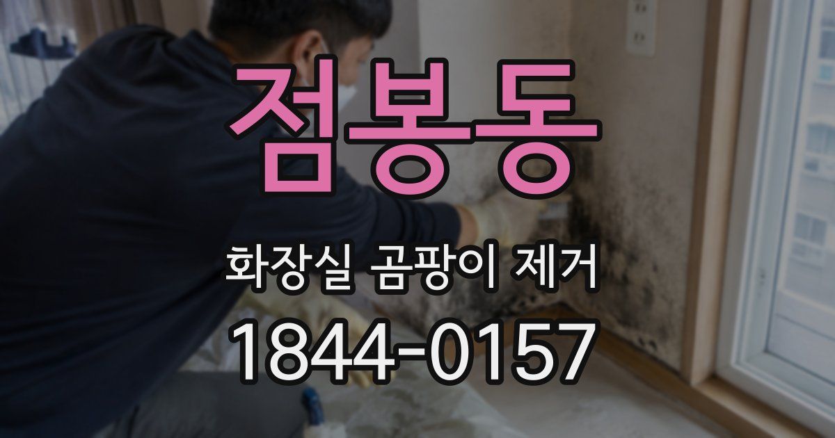 점봉동 화장실 곰팡이 제거