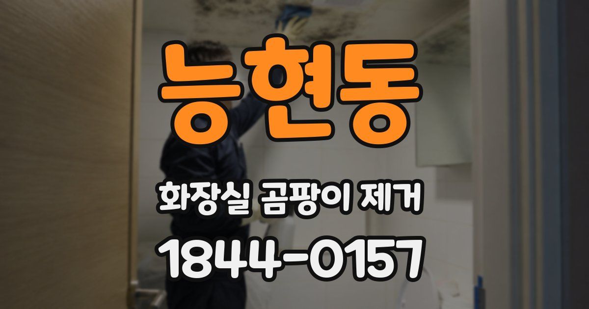 능현동 화장실 곰팡이 제거