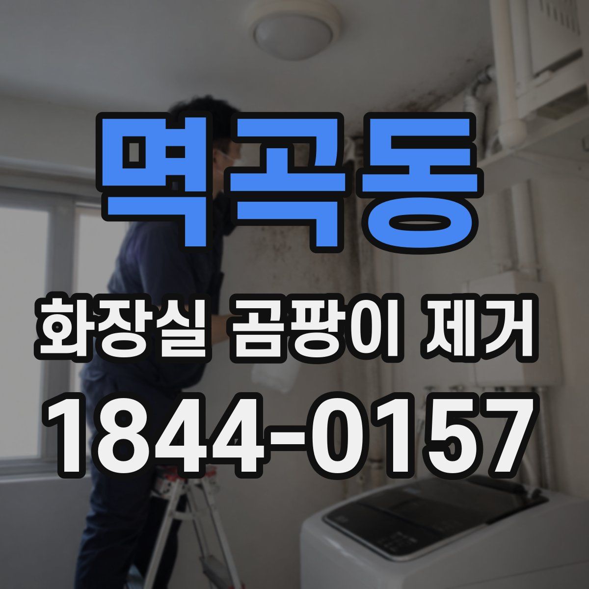 멱곡동 화장실 곰팡이 제거