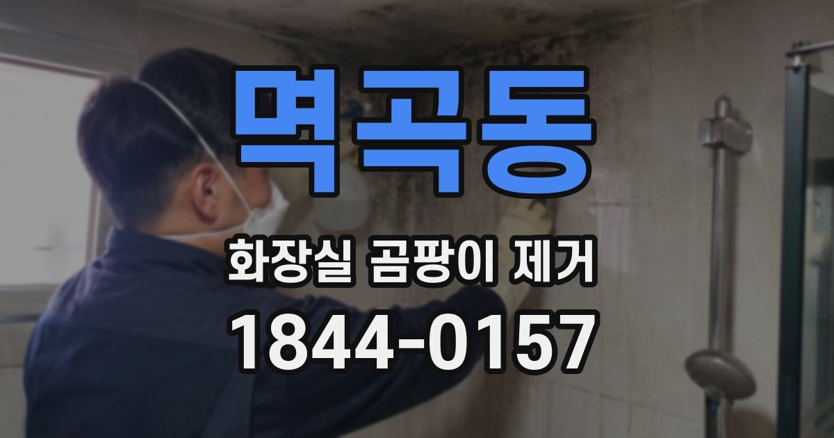 멱곡동 화장실 곰팡이 제거