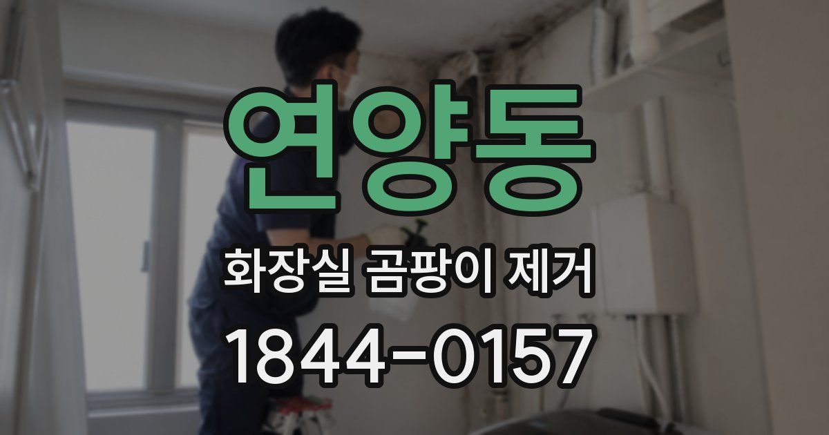 연양동 화장실 곰팡이 제거