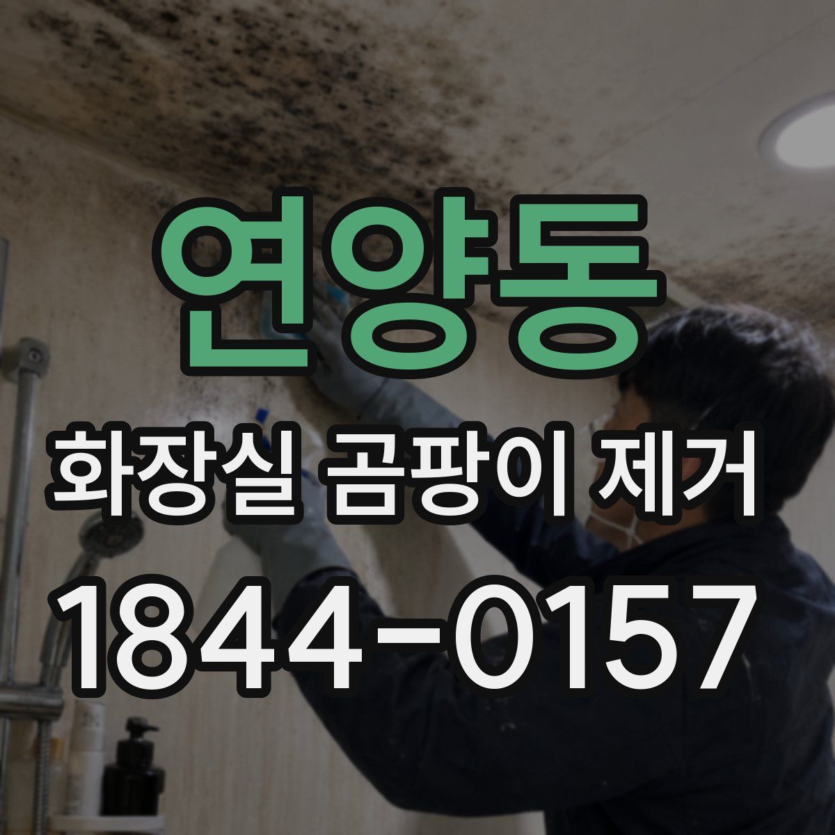 연양동 화장실 곰팡이 제거